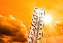 MeT predicts temperature surge in TN,  heat advisory issued