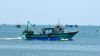 Sri Lankan Navy arrests three Tamil Nadu fishermen