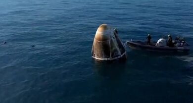 Unplanned welcome: Dolphins greet astronauts as they return home after extended space mission