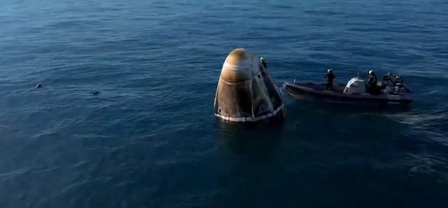 Unplanned welcome: Dolphins greet astronauts as they return home after extended space mission