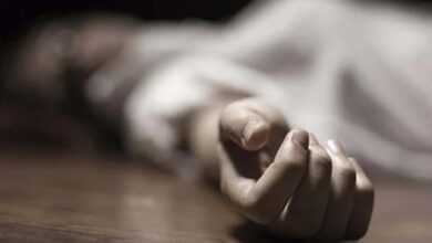 Rajasthan bizman, wife, daughter found dead in house, police suspect suicide