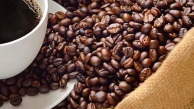 India’s coffee exports surge 40 pc to surpass .54 billion in April-Feb