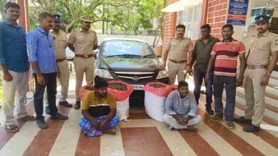 Two held with 102 kg ganja in crackdown on drugs in TN