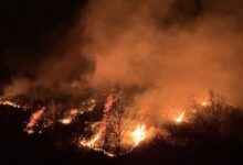 South Korea: Evacuation order widens as firefighting efforts continue against Sancheong wildfire