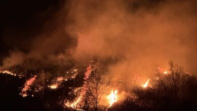 South Korea: Evacuation order widens as firefighting efforts continue against Sancheong wildfire