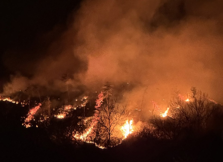 South Korea: Evacuation order widens as firefighting efforts continue against Sancheong wildfire