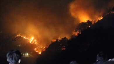 South Korea: Four killed as wildfires ravage southeastern region