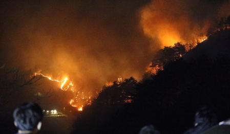 South Korea: Four killed as wildfires ravage southeastern region