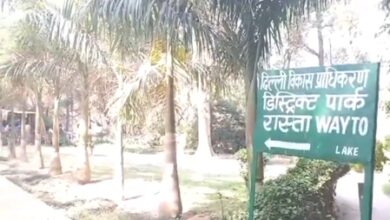 Boy, girl found hanging from tree in Delhi park