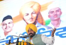 Making efforts to fulfil dreams of Bhagat Singh, Rajguru, Sukhdev: Punjab CM