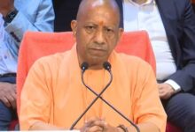 Agriculture flourishing, law and order in control, says CM Yogi on his 8 years (Ld)