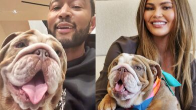 John Legend adopts puppy with wife Chrissy Teigen