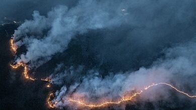 South Korean govt designates three more southeastern counties struck by wildfires as special disaster zones