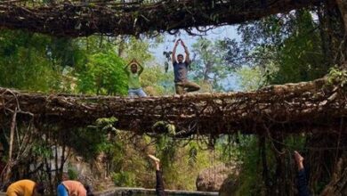 North Eastern Institute of Ayurveda and Homoeopathy organises Yoga event in Meghalaya