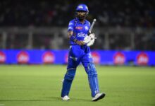 IPL 2025: Analysed learnings from last year into building the squad for upcoming season, says Pandya