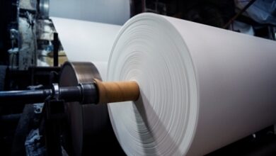 India’s paper industry poised to recover in 2025-26: Report