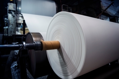 India’s paper industry poised to recover in 2025-26: Report