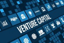 India’s venture capital funding surged 43 pc to .7 billion in 2024