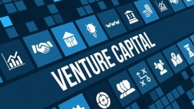 India’s venture capital funding surged 43 pc to .7 billion in 2024