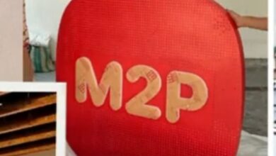 M2P Fintech’s revenue tanks 13 pc in FY24, losses hold above Rs 133 crore