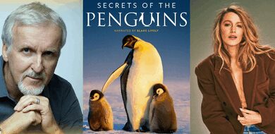 Blake Lively-narrated, James Cameron-backed ‘Secrets of the Penguins’ to tell unprecedented wildlife story