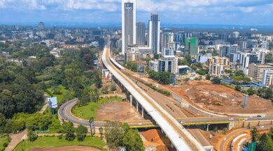 Experts urge strategic alignment of Africa’s development goals with multilateral trading system