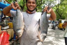Drones to soon transport fish in difficult terrains: Centre
