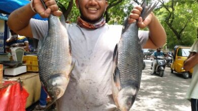 Drones to soon transport fish in difficult terrains: Centre