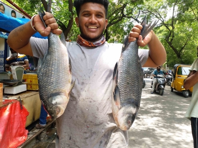 Drones to soon transport fish in difficult terrains: Centre Drones to soon transport fish in difficult terrains: Centre