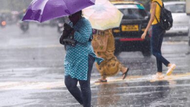 Heavy rain forecast for Maharashtra today, red alert issued in Raigad