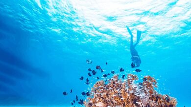 France, Brazil launch initiative to scale up ocean-focused climate action