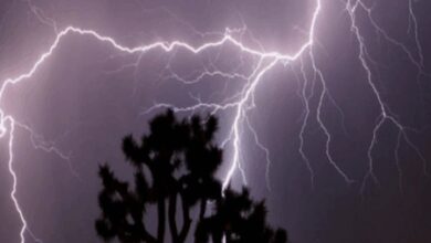 Lightning strike claims one life in Madhya Pradesh’s Sehore; two injured
