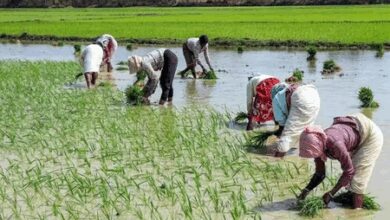 TN farmers urge CM Stalin to ensure release of pending Cauvery water from Karnataka