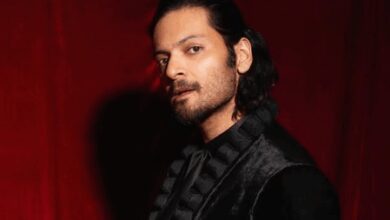 Ali Fazal reveals why he was asked by Aditya, Fatima to wait for two days on ‘Metro… In Dino’ sets