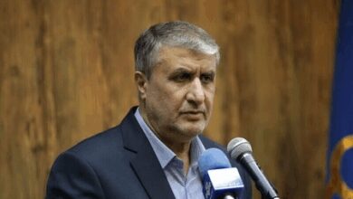 Iran’s atomic chief urges IAEA to end ‘inaction,’ condemn Israeli attacks