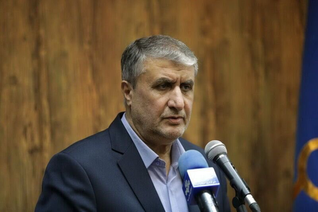 Iran’s atomic chief urges IAEA to end ‘inaction,’ condemn Israeli attacks Iran’s atomic chief urges IAEA to end ‘inaction,’ condemn Israeli attacks