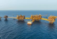 ONGC digs 578 wells in 2024-25, highest in 35 years: Hardeep Singh Puri
