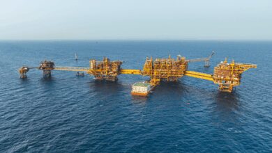ONGC digs 578 wells in 2024-25, highest in 35 years: Hardeep Singh Puri
