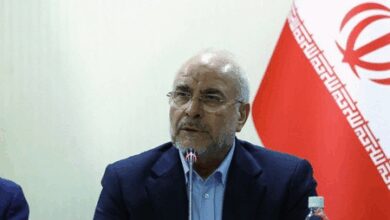 Iran moves to suspend cooperation with UN nuclear watchdog IAEA