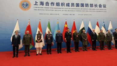 Terror and peace cannot co-exist: Rajnath Singh at SCO meet in China