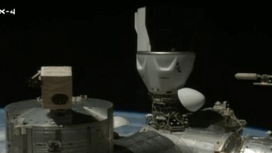 History created for India: SpaceX Dragon ‘Grace’ carrying Shubhanshu Shukla docks at space station