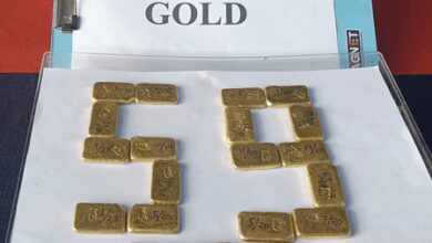 BSF thwarts smuggling bid along India-B’desh border, seizes gold bars valued at Rs 2.31cr