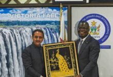 MoS Kirti Vardhan Singh begins Zimbabwe visit