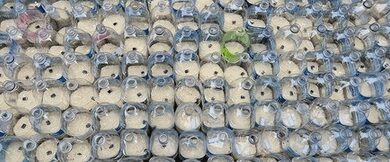 South Korea: Six Americans nabbed for trying to send plastic bottles with rice, dollar bills to North Korea