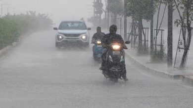 Gujarat braces for six days of heavy rainfall; red alerts issued in several dists