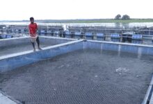 Jharkhand: PM Matsya Sampada Yojana transforms lives of farmers, makes them ‘self-reliant’