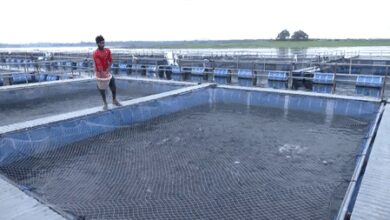 Jharkhand: PM Matsya Sampada Yojana transforms lives of farmers, makes them ‘self-reliant’
