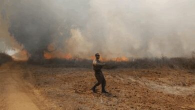 Israeli soldier killed in Gaza