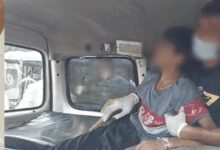 TN issues advisory on Rabies prevention after dog bite deaths in Kerala