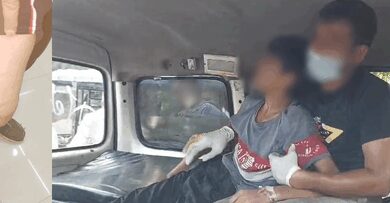 TN issues advisory on Rabies prevention after dog bite deaths in Kerala